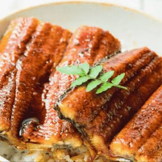 Unagi Don