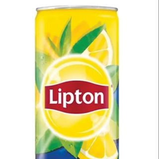 Lipton piersica