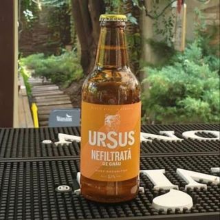 Ursus Nefiltrat