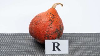 Bundeva hokaido komad