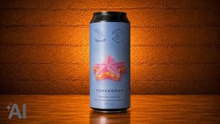 Tonkaroon | Selfmade Brewery × Dolphinwolf 450 მლ