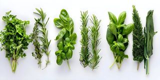 Herbs Hamper (coriander, parsley, basil, curry leaves, mint leaves, leeks, Rosemary, Dill)