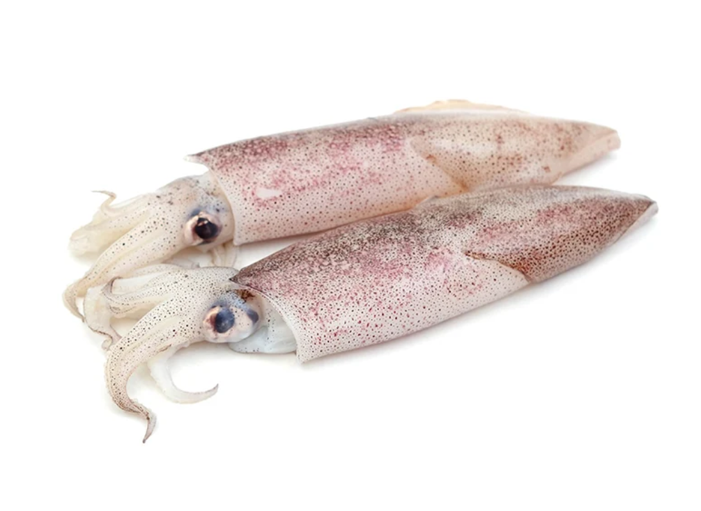 Calamar frais, 500 g