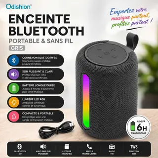 Enceinte Bluetooth Portable Odishion Gris