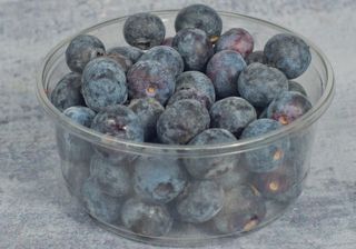 Borovnica 500g