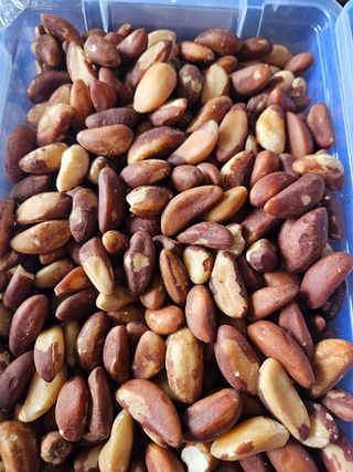 Brazilski orah 500gr