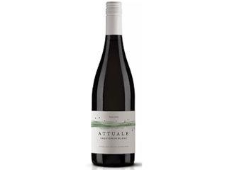Sauvignon Blanc- Attuale