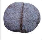 Pain d'Orge et Belboula – 5 Pièces