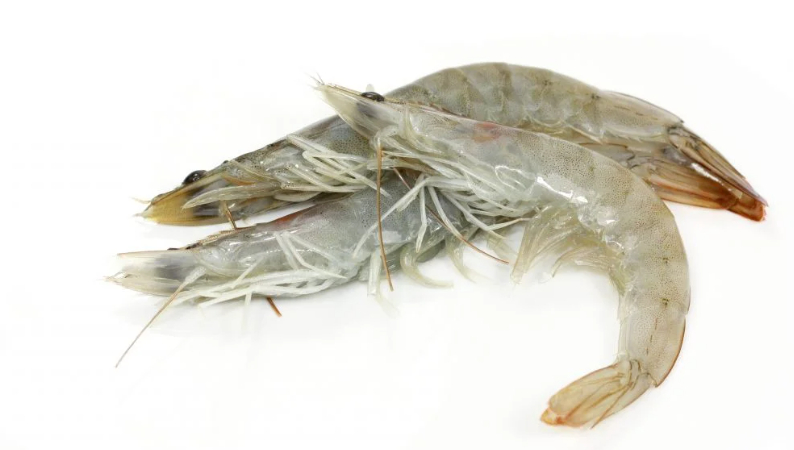 Crevettes Grises, 500 g