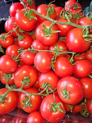 Paradajiz grapolo 10 km kg