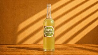 Mint Ninja Infusion 250 მლ