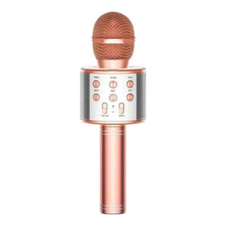 Karaoke Microphone Karaoké Sans Fil LN-858