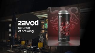 Zavod | Сape Codder