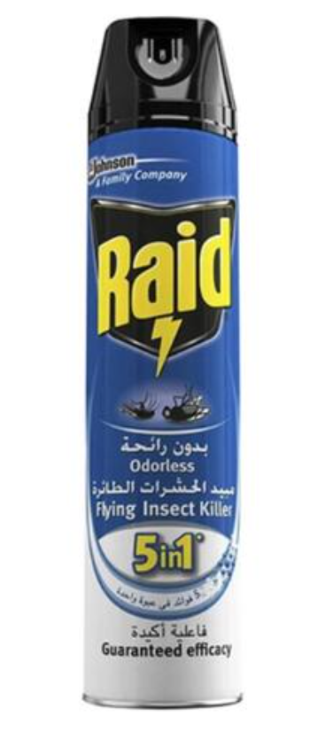 Raid Insecticide Insectes Volants 5en1 Sans Odeur – 300 ml