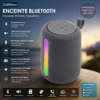 Enceinte Bluetooth Portable OdiShion