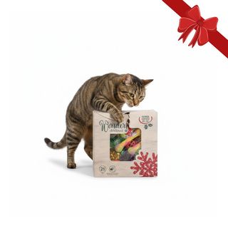 Wonder Christmas Caja de Juguetes Sorpresa Navideños para gatos
