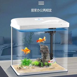 Petit Aquarium complet tout-en-un avec filtration interne. 10 litre