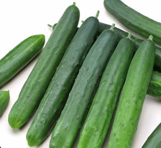 Duga krastavica 500gr