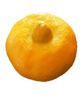 Citron beldi 500 g