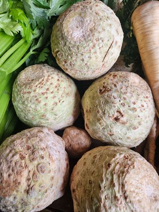 Celer korijen 12km 1 kg