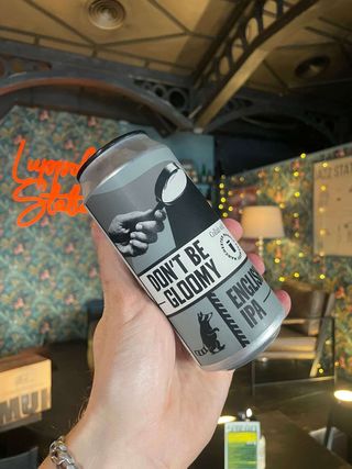 Wild Raccoon - Don't Be Gloomy