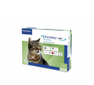 Effipro Duo Cat, 1 pipeta
