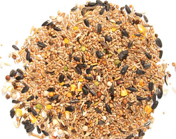 Mix de graines 4 saisons 1kg