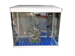 Aquarium Rectangulaire blanc 80L