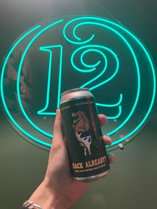 Stigbergets - Back Already