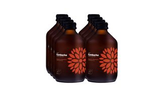 VIGO Kombucha 8 Malina + Ruzmarin