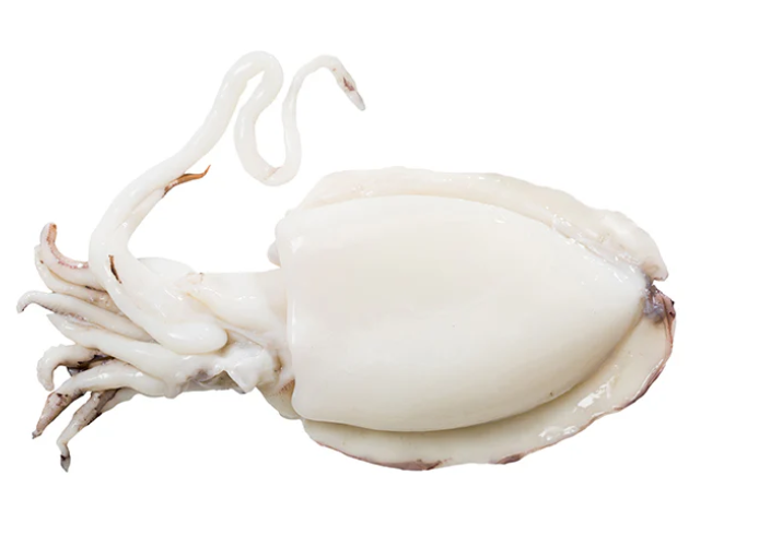 Seiches, 500 g