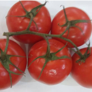 Grapolo paradajz 500gr