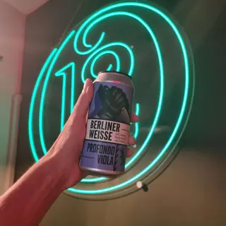 Wild Raccoon Ribes nero Berliner Weisse