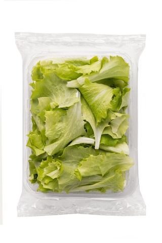 Green Soft Lettuce
