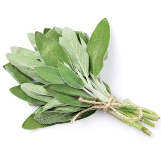 Sage Per Bunch