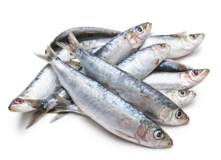 Paquet de sardines, 500 g