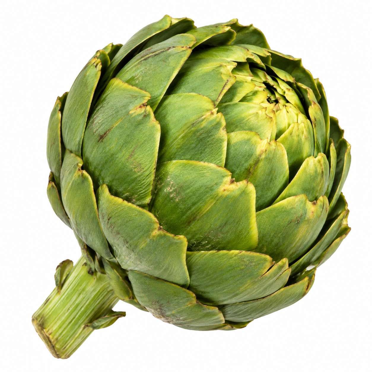 Artichauts Frais – 1 kg