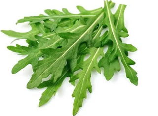 Domaća bio organska rukola