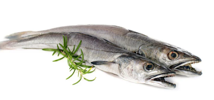 Petit merlan, 500 g