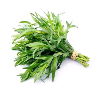 Fresh Tarragon Bunch