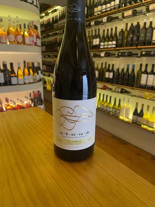 Infinitude blend tinto 2022 pinot noir e merlot