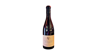 Domaine Pierre Girardin Nuits-SaintGeorges 1er cru Les Damodes 2022
