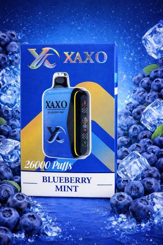 Vap. Xaxo Blueberry Mint 26.000 puffs