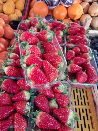 Turska jagoda korpica