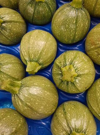 Tikvica za filovanje 2 komada