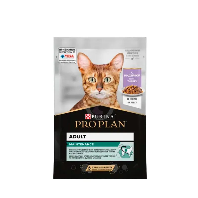 სველი საკვები კატის