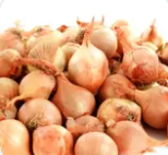 Petit Oignon Frais 500 g