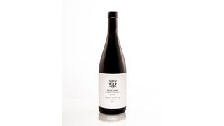 Bekauri Family Vineyards - Rkatsiteli Qvevri