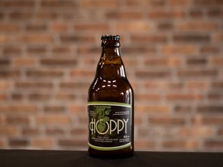 Пиво Сага "Hoopy Lager" 0,33л. 4,9%