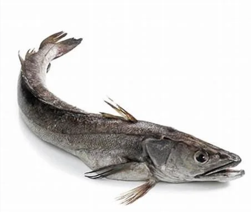 Merlan géant Sea Delights, 500 g